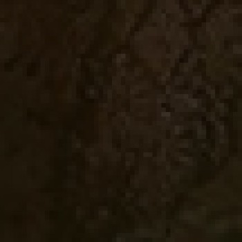 Hfhjkk Gjgcggj